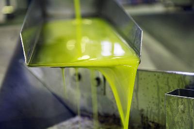 10 errores que los consumidores de Aceites de Oliva  no deberancometer
